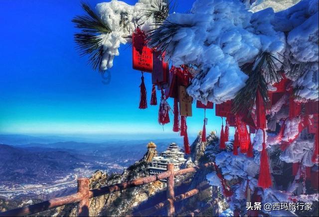 竞技宝登录